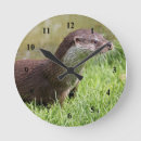 Search for otter clocks Animal