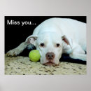 Search for separated art Miss you