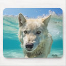 Search for outdoors mousepads Cute
