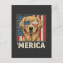 Search for golden retriever lover postcards Funny