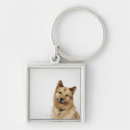 Search for spitz dog key rings Dogs