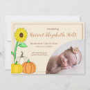 Search for pumpkin birth announcement cards October baby
