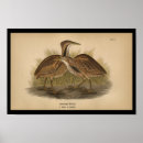 Search for ornithologist posters Ornithology