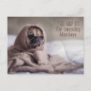 Search for pet pug postcards Animals