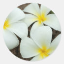 Search for south pacific stickers Ie