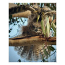 Search for birdwatcher art Photography
