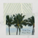 Search for palm trees postcards Hawaii
