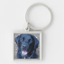Search for labrador dog key rings Retriever