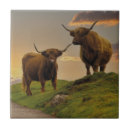 Search for highland cow tiles Cows