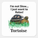 Search for funny tortoise stickers Cute