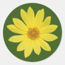 Search for isolate stickers Nature