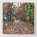 Search for roads clocks Autumn