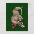 Search for tricycle postcards Bike