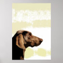 Search for vizsla art Dog lover