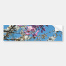 Search for cherry bumper stickers Nature