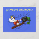 Search for funny cockatoo postcards Bird