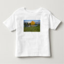 Search for swiftcurrent tshirts Mountain