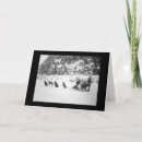 Search for vintage canada cards Photography