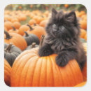 Search for black kitten stickers Halloween