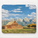 Search for log cabin electronics Nature