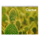 Search for plants calendars 2026