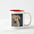Search for labrador puppy mugs Photography
