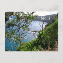 Search for road to hana Hawaii