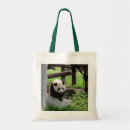 Search for china panda accessories Zoo