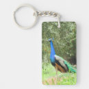 Search for peafowl key rings Green