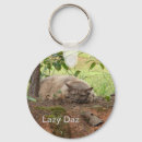 Search for lazy key rings Cats