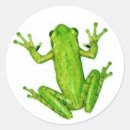 Search for rainforest stickers Frogs