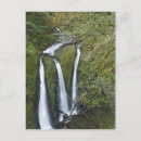 Search for pacific northwest postcards Tourism