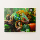 Search for chameleons puzzles Nature