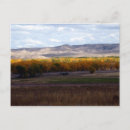 Search for casper postcards Cheyenne