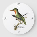Search for feeders art Ornithology