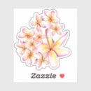 Search for hawaiian plumeria stickers Frangipani