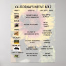 Search for pollinator posters Flowers