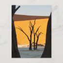 Search for namib postcards Pattern