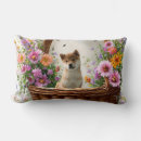 Search for shiba inu cushions Cute