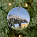 Search for dinosaur christmas tree decorations Cretaceous
