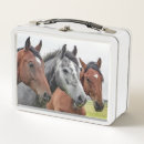 Search for horse lunch boxes Metal