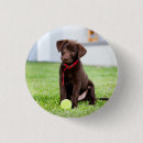 Search for ball badges Puppy