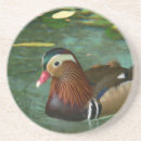 Search for poultry coasters Animal