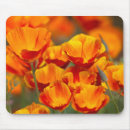 Search for crop mousepads Flower