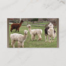 Search for furry business cards Cute