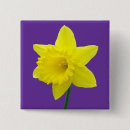 Search for daffodil badges Wales