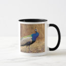 Search for peacock photo mugs Animal
