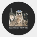 Search for street cat stickers Funny