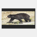 Search for ursus photography Animal lovers
