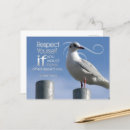 Search for bird sayings postcards Inspirational